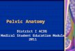 Pelvic Anatomy - Creighton University School of Medicinemedschool.creighton.edu/.../Departments/ob-gyn/docs/Pe… · PPT file · Web viewPelvic Anatomy District I ACOG ... Support