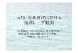 石垣・西表島沖における 海洋レーダ観測le-web.riam.kyushu-u.ac.jp/~le-all/meeting/hf-radar/2009/slides/... · 石垣・西表島沖における 海洋レーダ観測