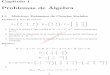 Problemas de Algebra´ - Aula Abierta de Matemáticas ... · Matematica1 Cap´ıtulo 1 Problemas de Algebra´ 1.1 Matrices, Ex´amenes de Ciencias Sociales Problema 1 Sean las matrices
