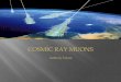 Cosmic Ray Muons - University of North Carolina Wilmington · Cosmic ray muons are created when high energy primary cosmic rays interact with earths atmosphere.Authors: R K AdairAffiliation: