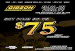 VISA PREPAID CARD MAIL - Gibson Exhaust Systemsgibso · PDF fileVISA PREPAID CARD MAIL-IN REBATE FORM Valid March 1- Ma y 31, 2017 D H s Mail Rebate to the address below Gibson Exhaust