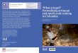 Keywords: Knowledge ‘What is legal?’ Colombia, informal ...pubs.iied.org/pdfs/16565IIED.pdf · Formalising artisanal and small-scale mining in Colombia Cristina Echavarria 