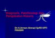 [PPT]Masalah Malaria di dunia dan Indonesia · Web viewDiagnosis, Patofisiologi dan Pengobatan Malaria Dr.H.Armen Ahmad SpPD KPTI FINASIM * P.falciparum resistance to Chloroquine