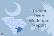 Trident LWIA Workforce Report - South Carolinalmi.dew.sc.gov/lmi site/Documents/LWIAReports/Trident LWIA Report... · Trident WIA Industry Employment Agriculture, Forestry, Fishing