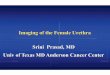 Imaging of the Female Urethra Srini Prasad, MD Univ of ... Urethra...Imaging of the Female Urethra Srini Prasad, MD Univ of Texas MD Anderson Cancer Center Evaluation of the Female
