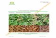 EAST AFRICAN STANDARD - EAC QUALITY · East African Standard, ... ISO 4112, Cereals and pulses — Guidance on measurement of the temperature of grain stored in bulk ... method ISO