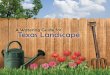 A Watering Guide for Texas Landscapes Watering Guide for. Texas Landscape. ... building a garden to composting leaves. ... Trait Bermuda . grass Buffalo grass: Centipede