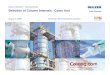 Sulzer Chemtech – Moving Ahead Selection of Column Internals - Coker ...refiningcommunity.com/wp-content/pdf/rio09/RIO09-Sulzer-Column... · Sulzer Chemtech Sulzer Chemtech –