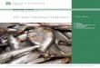 UK Sea Fisheries Statisticsresearchbriefings.files.parliament.uk/documents/SN02788/...3 UK Sea Fisheries Statistics Summary This briefing paper examines trends in the UK sea fishing