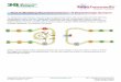 Part V: Modeling Neurotransmission - A Dopaminergic Synapse V: Modeling Neurotransmission - A Dopaminergic Synapse. Copyright 3D Molecular Designs ... Part V: Modeling Neurotransmission