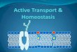 Cell Membranes & Passive Transport - Houston …€¦ ·  · 2015-10-07Active Transport Molecules move across the membrane AGAINST their concentration gradient (Low to High) ENERGY