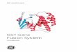 GST Gene Fusion System – - Cornell Universitysevierlab.vet.cornell.edu/resources/GE_GST_Handbook.pdf18-1157-58 AB 5 Chapter 1 Overview The Glutathione S-transferase (GST) Gene Fusion