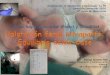 Domingo Desantes Real Hospital Universitari y Politècnic ... · Membranas fetales, líquido amniótico y cordón umbilical Gelatina de Wharton Vena umbilical Arterias umbilicales