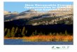 New Renewable Energy Opportunities in Alberta and …albertasask.canadianclean.com/files/Article-report.pdfNew Renewable Energy Opportunities in Alberta and Saskatchewan Key Challenges