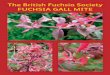The British Fuchsia Society FUCHSIA GALL MITE · The feeding activities of the mites cause the plants cells ... chemicals that prevent the normal development of ... man accidentally