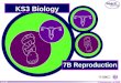 7B Reproduction - Webs Reproduction.ppt · PPT file · Web viewContents Contents Contents Contents Contents Glossary Anagrams KS3 Biology 7B Reproduction Contents Contents ... Boardworks
