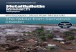 Whitepaper: Steel Raw Materials The fallout from Samarco ... · 2015 The fallout from Samarco’s disaster Whitepapers Whitepaper: Steel Raw Materials. ... with 20 new prices overall