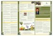 r N Indian Olive Association - indolive.orgindolive.org/IOA-newsletter-(Oct-Dec 2015).pdf · issued by M/s Marico Limited for their product i.e. “Saffola Total ... alongwith India's