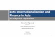 SME Internationalization and Finance in Asia€¦ ·  · 2015-07-16SME Internationalization and Finance in Asia An Empirical Exploration ... Small Business and Entrepreneurship Council)