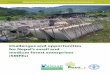 Challenges and opportunities for Nepal’s small and … · Challenges and opportunities for Nepal’s ... research initiative that focuses on small and medium forest enterprises