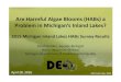 Are Harmful Algae Blooms (HABs) a Problem in …michiganlakes.msue.msu.edu/uploads/files/2016_Convention...Are Harmful Algae Blooms (HABs) a Problem in Michigan’s Inland Lakes? 2015