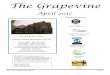 The Grapevine - Romeo United Methodist Church 2017 gv.pdf · John was a prophet.” So they answered Jesus, “We don’t know.” Then he said, “Neither will I ... 23rd Joyce and