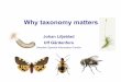 Why taxonomy matters¤rdenfors.pdf ·  · 2016-12-19parasites Saprophage parasites Phytophage parasites Unspecialized ... schools and the general public ... ¥taxonomy initiatives
