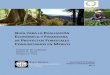 GUÍA PARA LA EVALUACIÓN ECONÓMICA Y … Guía para la Evaluación Económica y Financiera de Proyectos Forestales Comunitarios en México Sumario Frederick W. Cubbage Profesor del