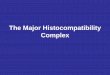 The Major Histocompatibility Complex - JUdoctors controlled by the Major Histocompatibility Complex ... the presentation of peptides to T cells ... Ab/g Ar/y Ab/y Ar/g