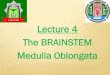 Lecture 4 The BRAINSTEM Medulla Oblongata - …­§¶±§ - Medulla oblongata-2 - Pons-3 ... Venous drainage:-1 )ventrally: basilar venous plexus- ... the cerebral