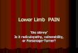 Lower Limb PAIN - OSU Center for Continuing Medical … proximal muscle One distal muscle One muscle ABOVE suspected root One muscle below suspected root ... Stimulation of nerve to