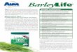 BarleyLifeyourlifesource.com/pdf/barleylife.pdf · BarleyLife ® body is not equipped with the enzymes to break down the fiber ... l BarleyLife is also included in the AIM Daily 