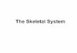 The Skeletal System - Denver Public Schoolsdsapresents.org/staff/john-jackson/files/2018/01/Skeletal-System... · The Skeletal System • Parts of the skeletal system include: –