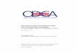 Planning, Buying, and Implementing New Information Technology: A Case Study … · Planning, Buying, and Implementing New Information Technology: A Case Study of the D.C. Business