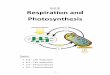 Respiration and Photosynthesis - ibbriner and Photosynthesis . Topics: 2.8 – Cell respiration 8.2 – Cell respiration ... 8.3 – Photosynthesis - 1 - NOTES - 2 - - 3 - - 4 - -