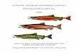 COASTAL SALMON SPAWNING SURVEY PROCEDURES MANUAL … · COASTAL SALMON SPAWNING SURVEY PROCEDURES MANUAL ... (BSF) INSTRUCTIONS ... study was obtained through a U.S. Letter of Agreement