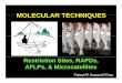 MOLECULAR TECHNIQUESMOLECULAR TECHNIQUES · Molecular TechniquesMolecular Techniques PCR Base Technique Non PCR Base Technique ... VosVos et al. (1995) et al. (1995) –– review