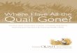 Where Have All the Quail Gone? - Texas Parks & Wildlife ... · Where Have All the Quail Gone? ... Tim Peterson, Creative Services Branch Chief, ... Loggerhead Shrike Red-cockaded
