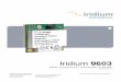 Iridium 9603 - Texas A&M Universitytabs1.gerg.tamu.edu/~norman/659/Iridium/9306/Iridium 9603 Develope… · Iridium 9603 SBD Transceiver Product Developers Guide Revision 2.0 Proprietary