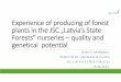 of producing of forest the JSC „Latvia’s State nurseries … · gaining maximum possible value from forest management One ... Bareroots with improved root system Bareroots, trditional