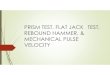 PRISM TEST, FLAT JACK TEST, REBOUND HAMMER, & … · prism test, flat jack test, rebound hammer, & mechanical pulse velocity