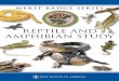 Reptile and amphibian Study - bsa-troop10-lmt. and Amphibian...reptile and amphibian study 7.What are Reptiles and amphibians? What Are Reptiles and Amphibians? Boy Scouts always have