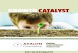 GROWTH CATALYST - Avalon ConsultingAvalon … · GROWTH CATALYST AVALON Consulting STRATEGY TRANSFORMATION ... Besides Avalon Consulting, the strategy and management consulting arm,