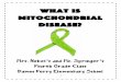 What is Mitochondrial Disease is Mitochondrial Disease Book.pdfWhat is Mitochondrial Disease? ... A Poem Page 18 A Short ... the other hand down. Repeat with other hands. Clap each