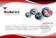 Weatherford’s Integrated Laboratory Services (ILS ... · Weatherford’s Integrated Laboratory Services (ILS) effectively combines the ... Thermal Recovery Schemes ... Thermal/Steam