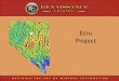 Ecru Project - RenGold · Ecru Project in Cortez area ... Hills fault at intersection with Crescent Valley ... immediately west of property Lower plate target is