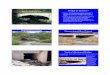 Bottomless Culvert Conventional Box Culvert Quality/Surface... · 1 Bottomless Culverts Bridge or Culvert ? • Bridge: The structure generally consist of a deck or superstructure