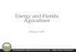 Energy and Florida Agriculture - NASEO 2018 Energy Policy ...energyoutlook.naseo.org/Data/Sites/13/media/presentations/Burk... · •Legislatively designated state energy policy development