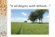 “It all Begins with Wheat…” - siemermilling.com dominant class in U.S. exports and the largest class produced each year. ... • Reducing Agent • Dough Conditioner ... 4.3