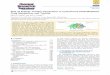 Role of Protein Protein Interactions in Cytochrome P450-Mediated Drug Metabolism …€¦ ·  · 2016-01-26Role of Protein−Protein Interactions in Cytochrome P450-Mediated Drug